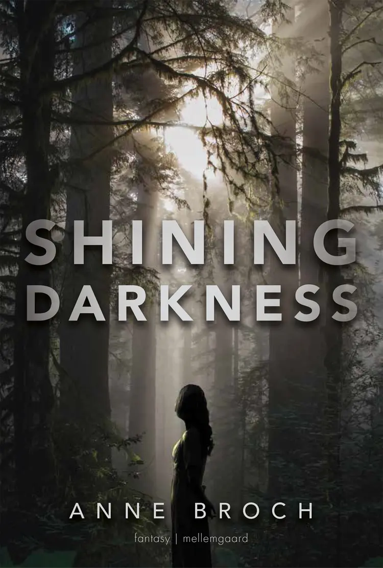 Shining Darkness af Anne Broch