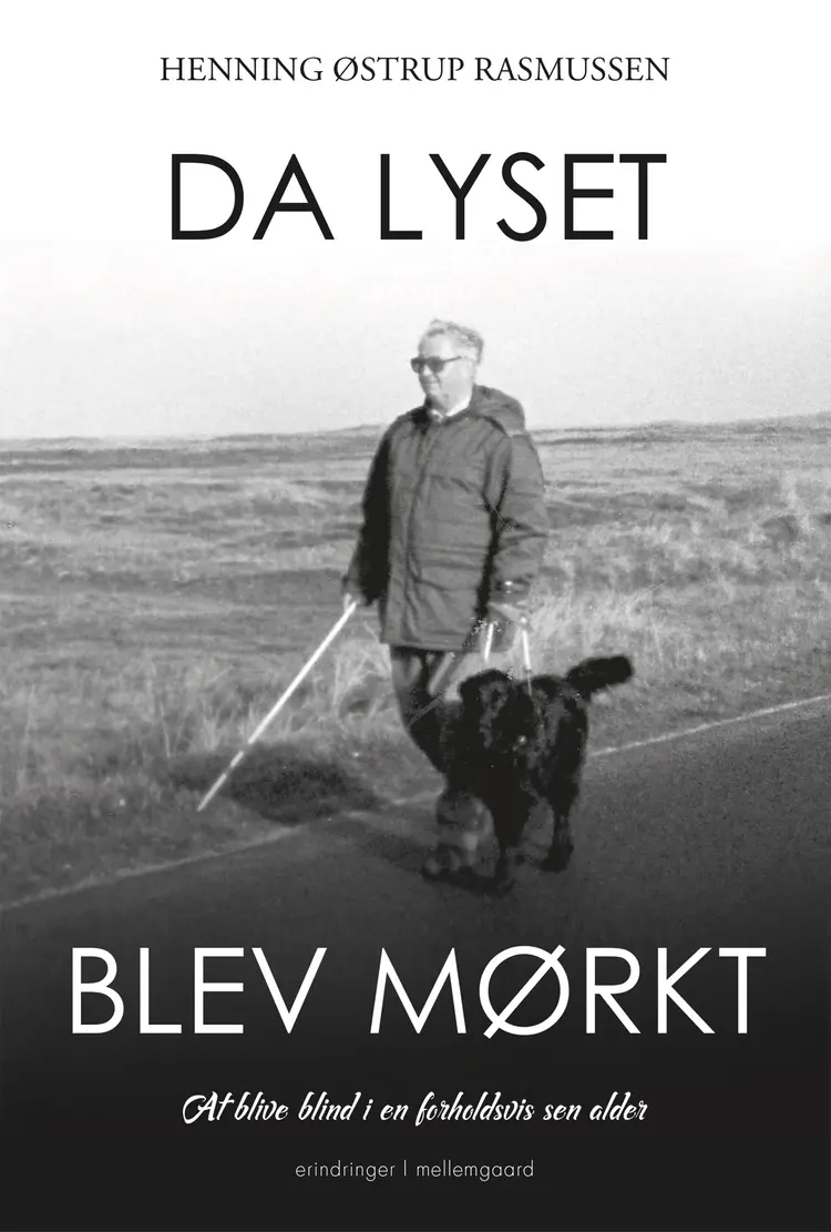 Da lyset blev mørkt af Henning Østrup Rasmussen