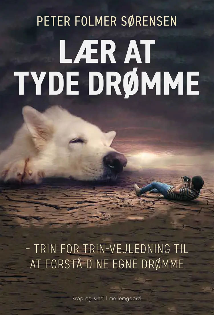 Lær at tyde drømme af Peter Folmer Sørensen