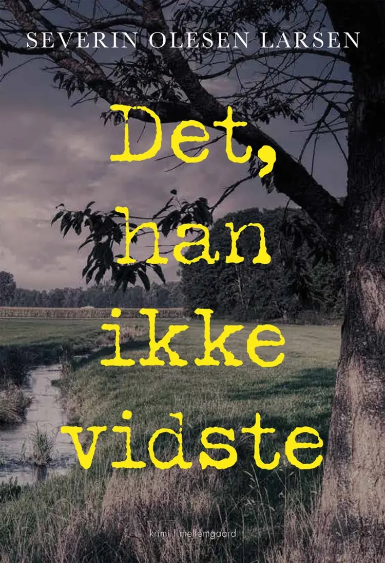 Det, han ikke vidste af Severin Olesen Larsen