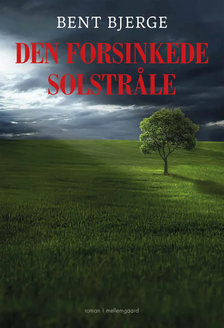 Den forsinkede solstråle af Bent Bjerge
