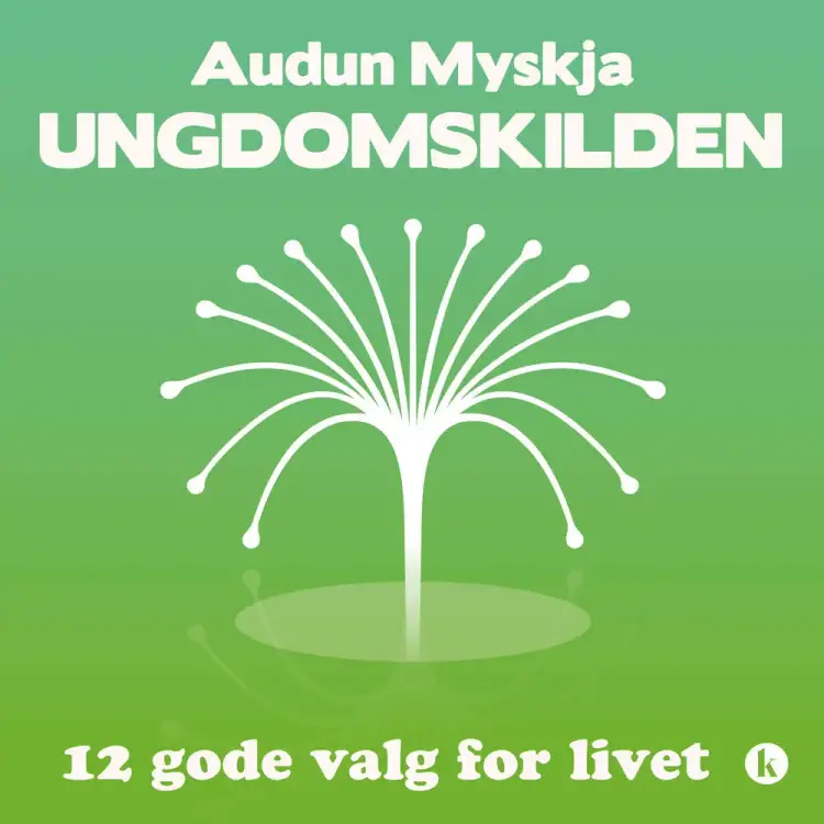 Ungdomskilden af Audun Myskja