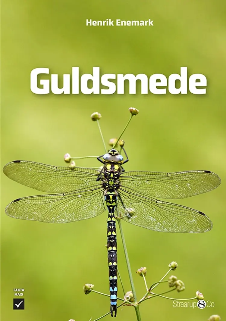 Guldsmede af Henrik Enemark