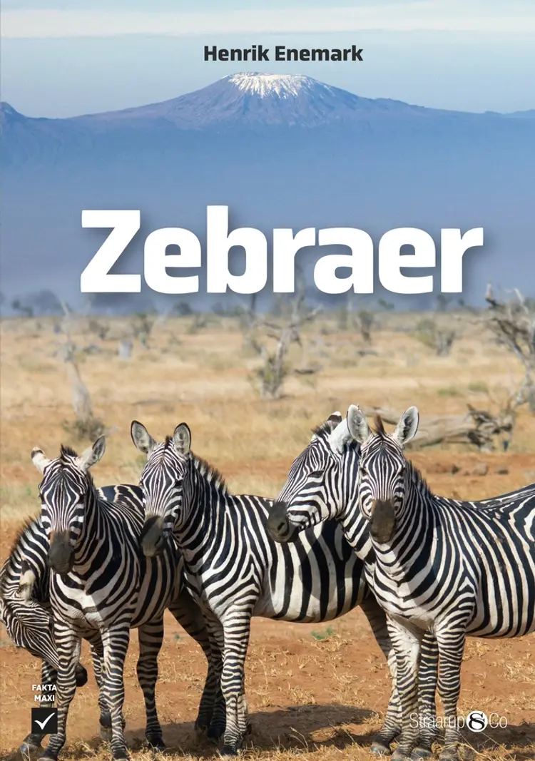 Zebraer af Henrik Enemark
