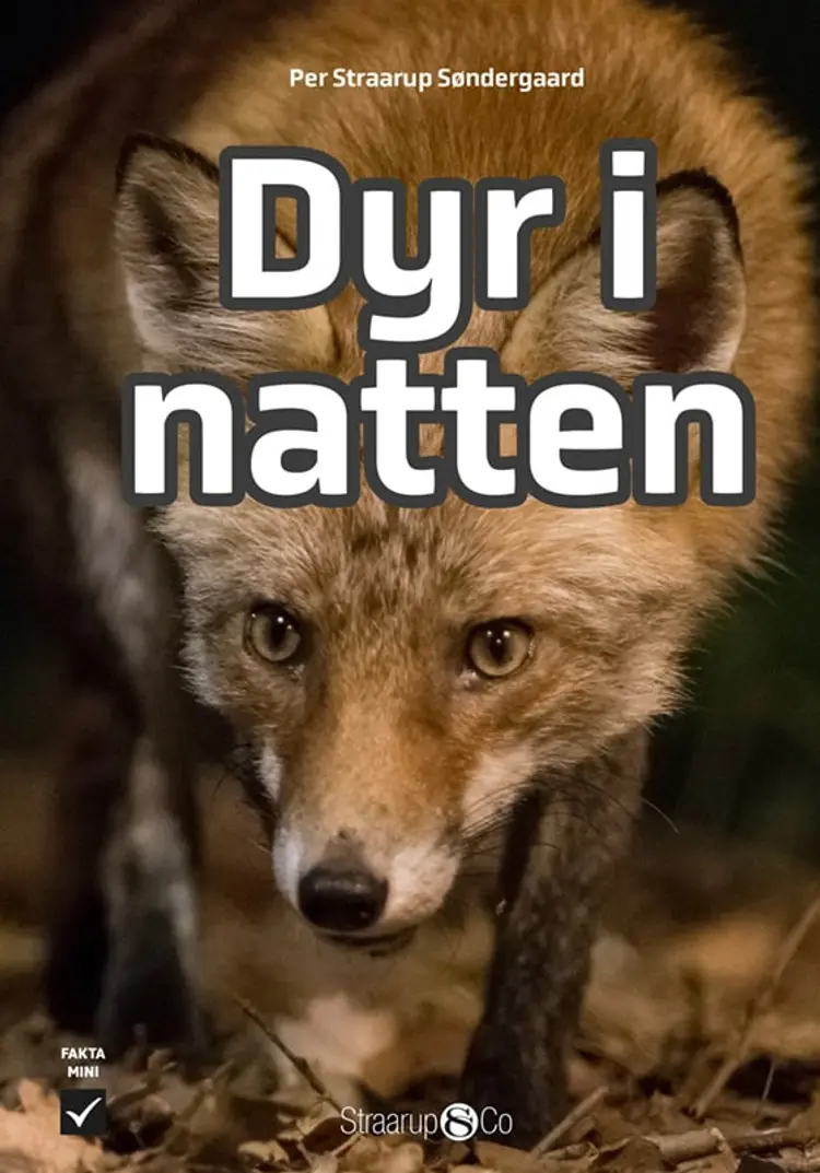 Dyr i natten af Per Straarup Søndergaard