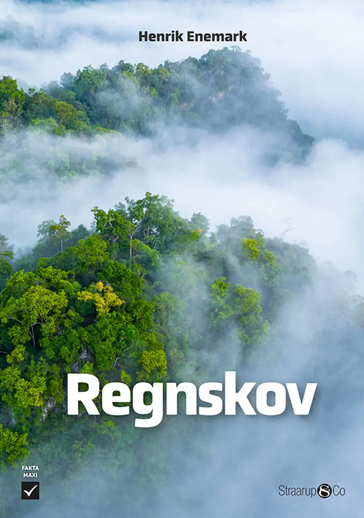 Regnskov af Henrik Enemark