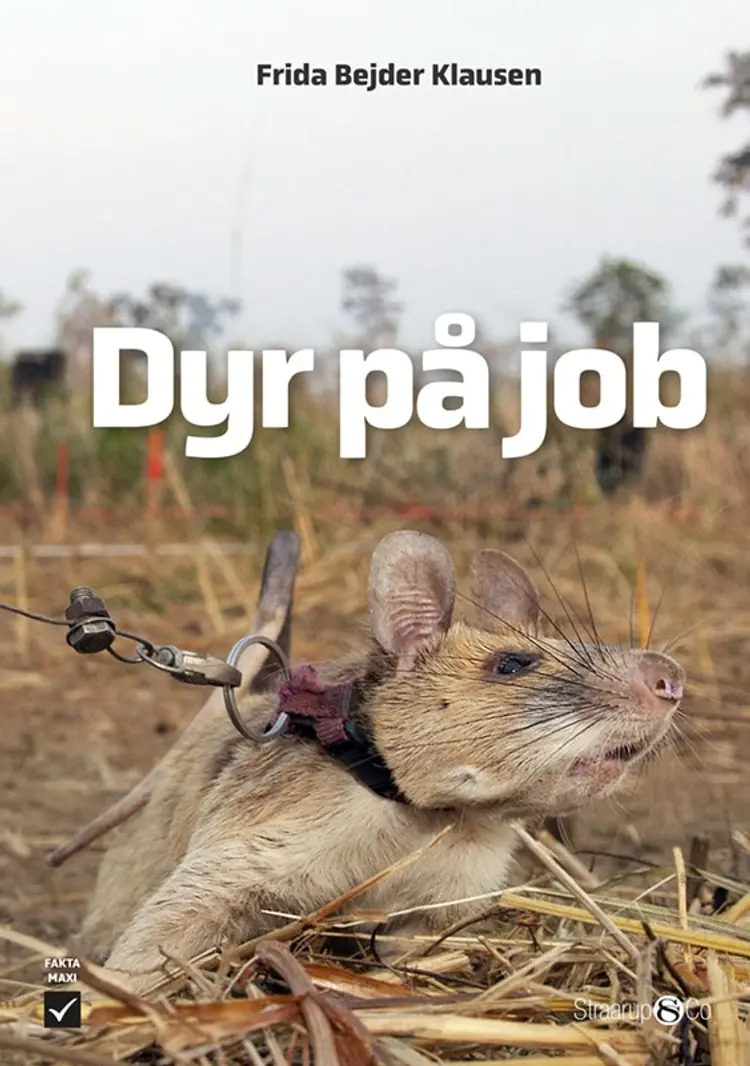 Dyr på job af Frida Bejder Klausen