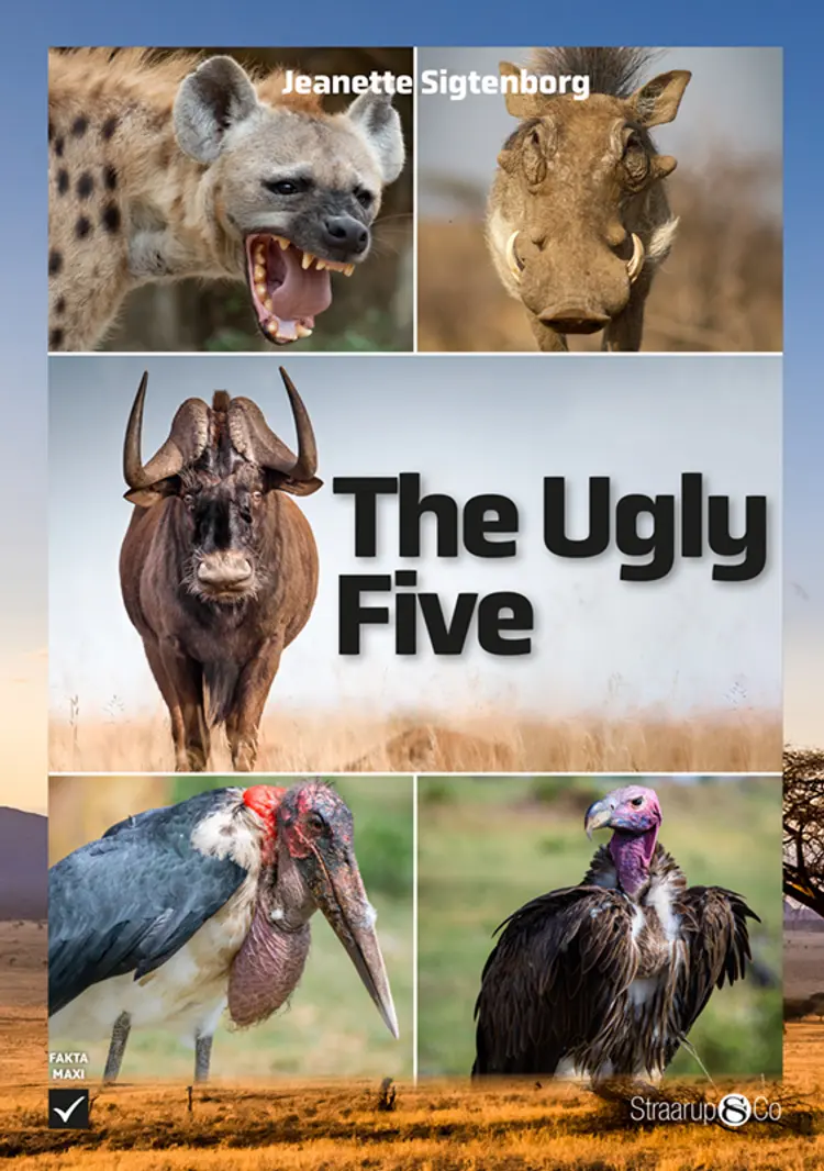 The Ugly Five af Jeanette Sigtenborg