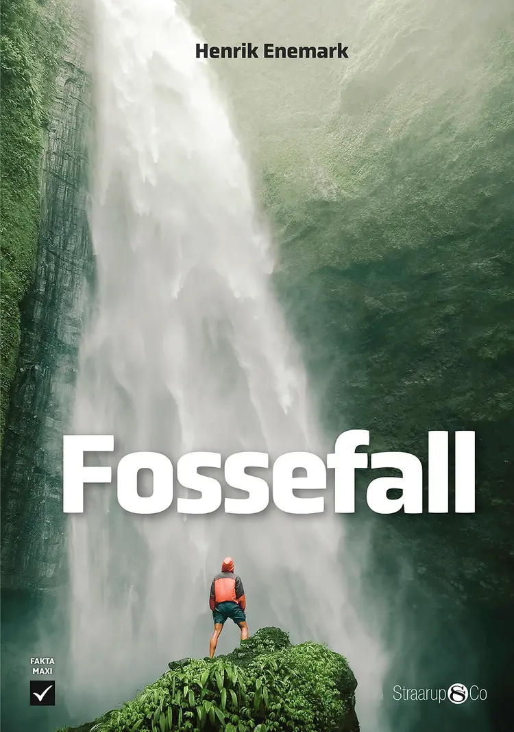 Fossefall (norsk) af Henrik Enemark