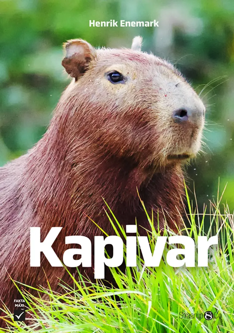 Kapivar af Henrik Enemark