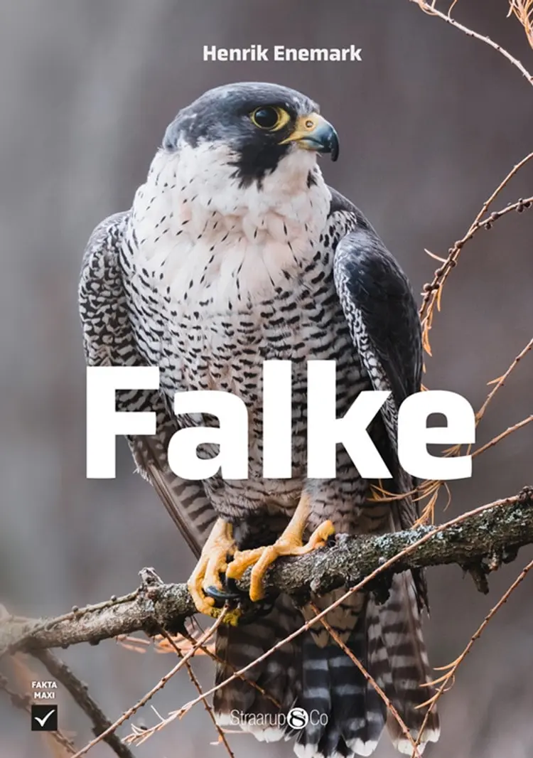 Falke af Henrik Enemark
