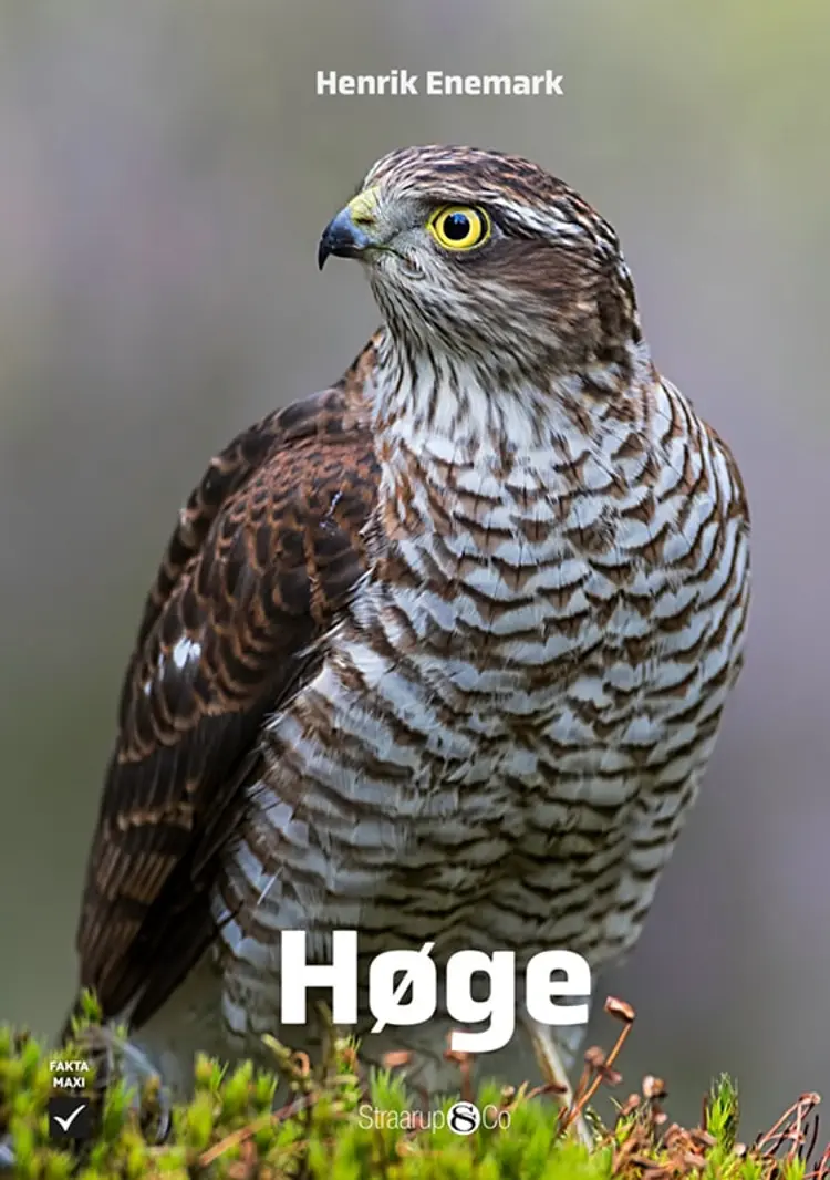 Høge af Henrik Enemark