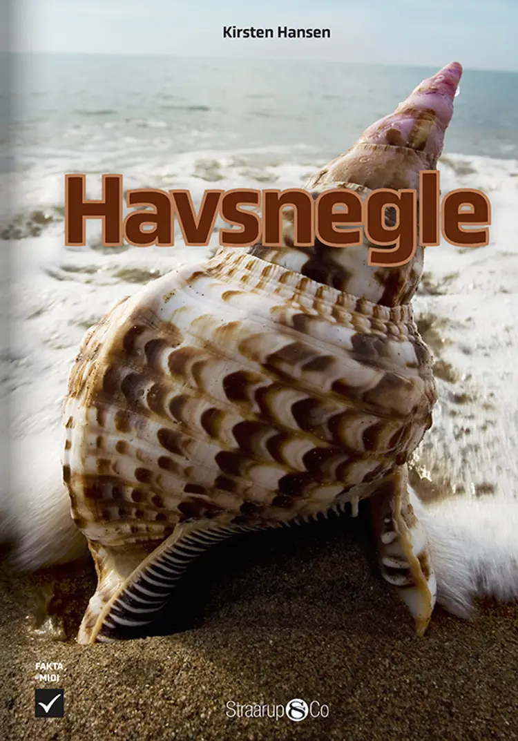 Havsnegle af Kirsten Hansen