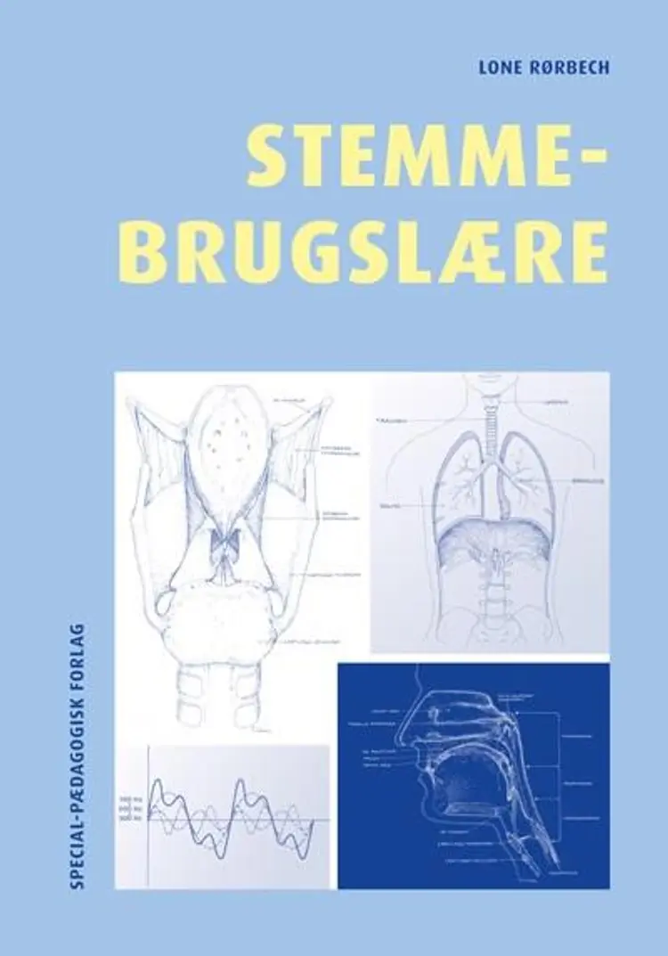 Stemmebrugslære af Lone Rørbech