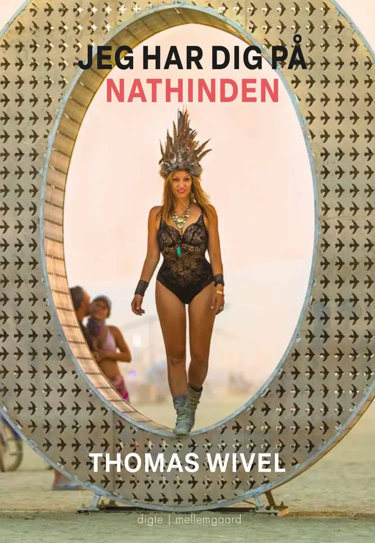 Jeg har dig på nathinden af Thomas Wivel