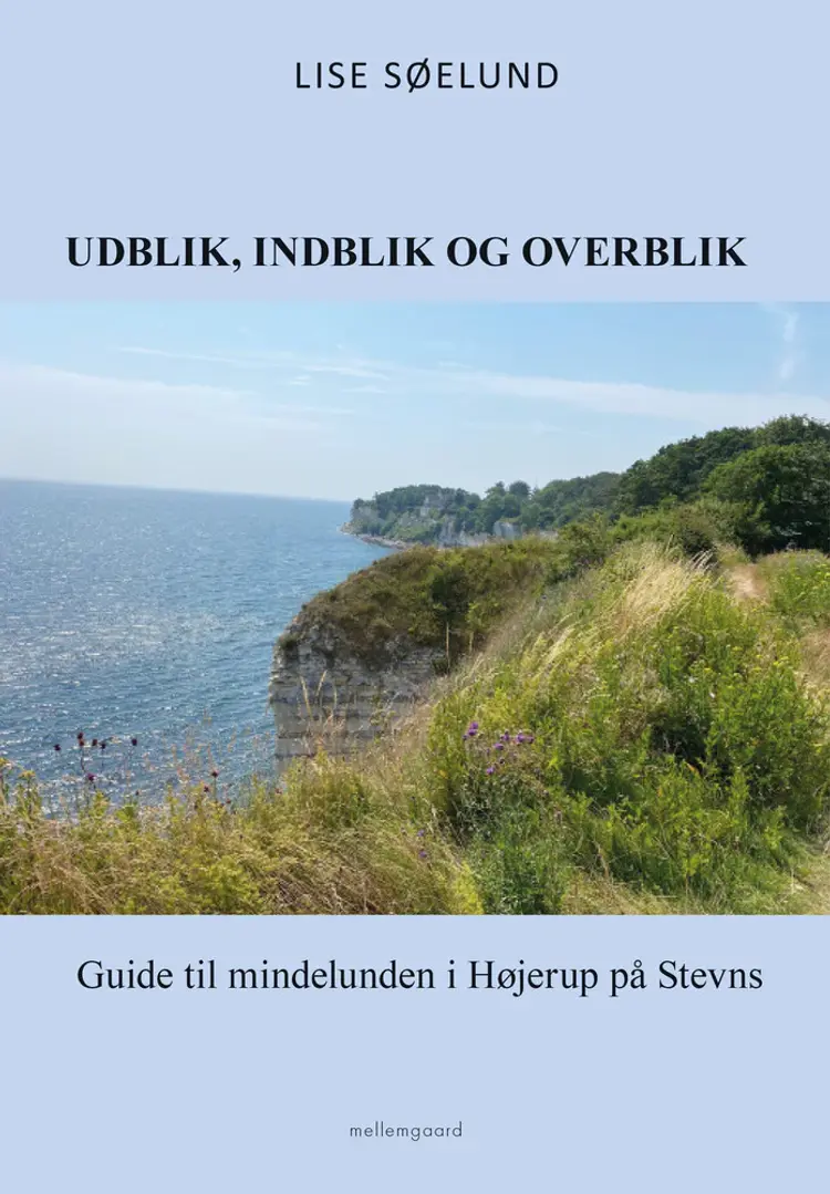 Udblik, indblik og overblik af Lise Søelund