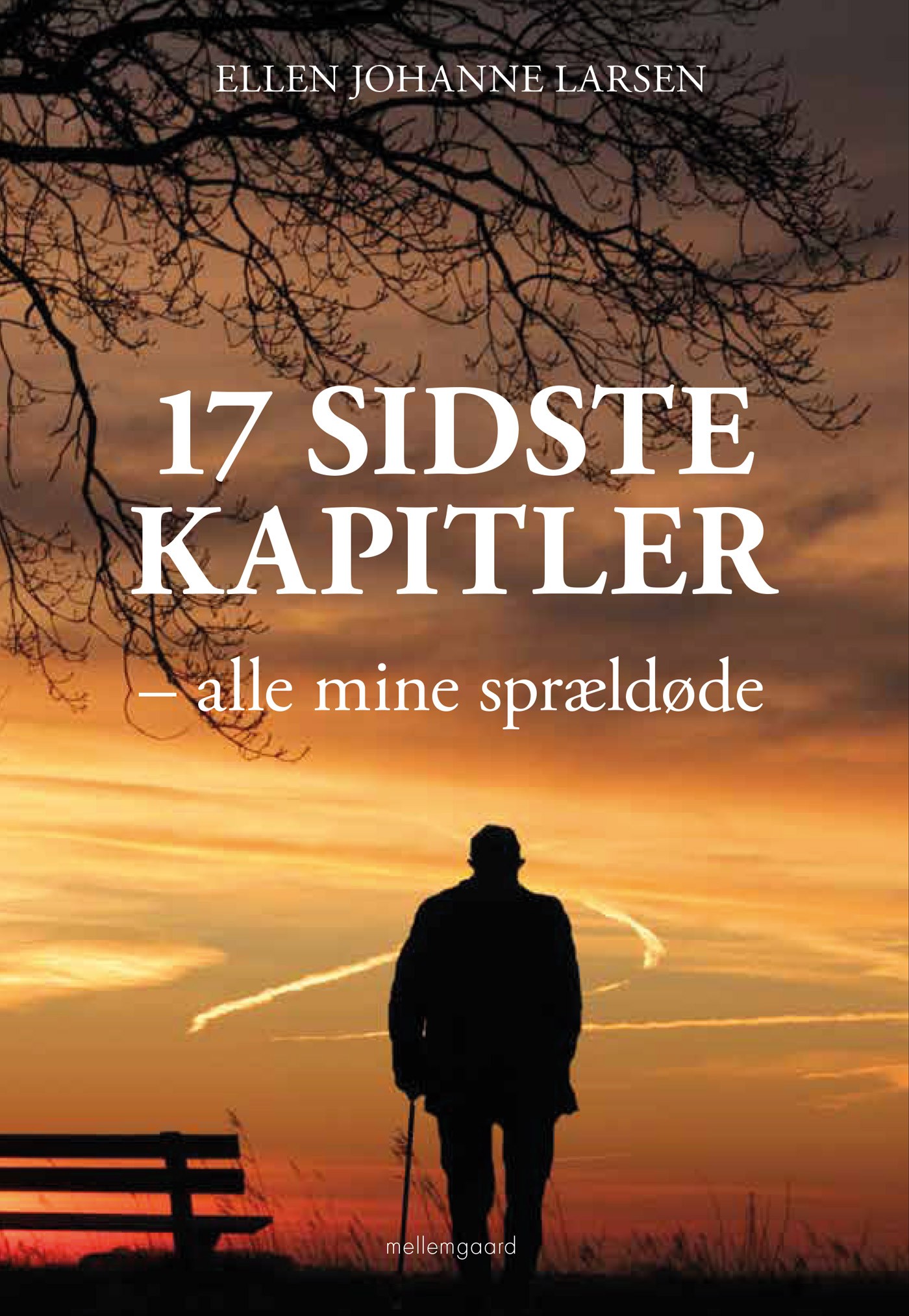 17 sidste kapitler cover