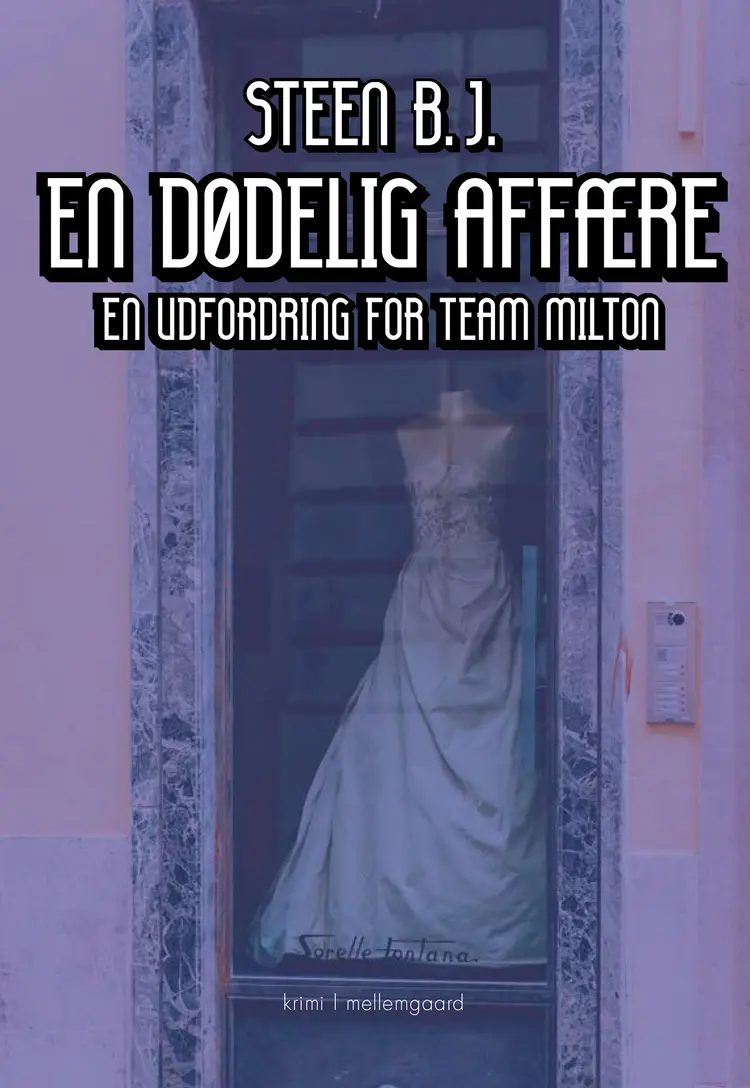 En dødelig affære af Steen B. J.