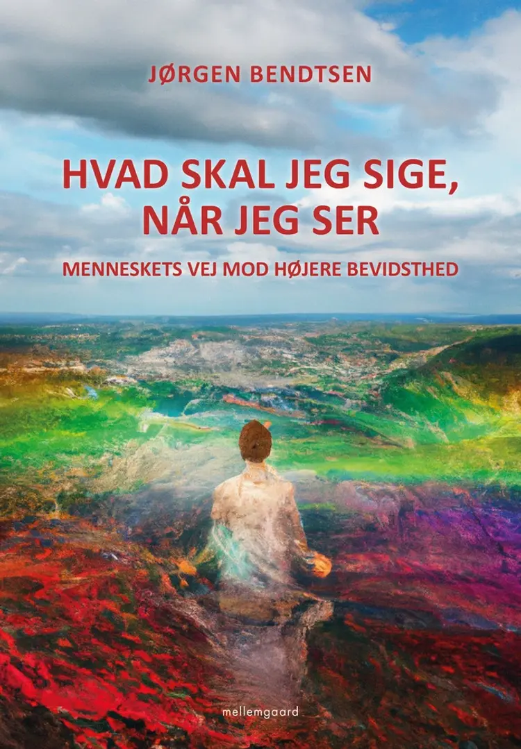 Hvad skal jeg sige, når jeg ser? af Jørgen Bendtsen
