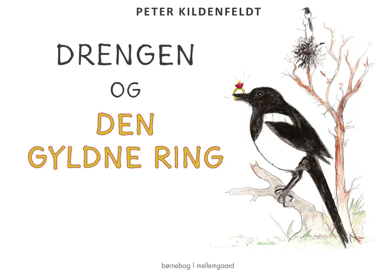 Drengen og den gyldne ring af Peter Kildenfeldt