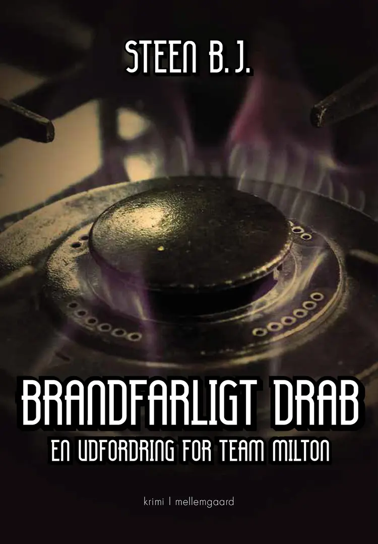 Brandfarligt drab af Steen B. J.