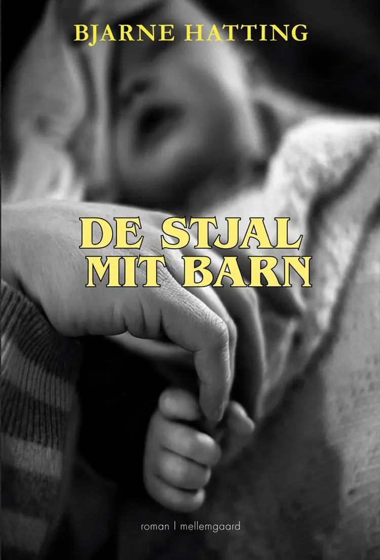 De stjal mit barn af Bjarne Hatting
