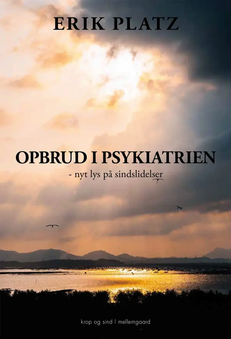 Opbrud i psykiatrien af Erik Platz