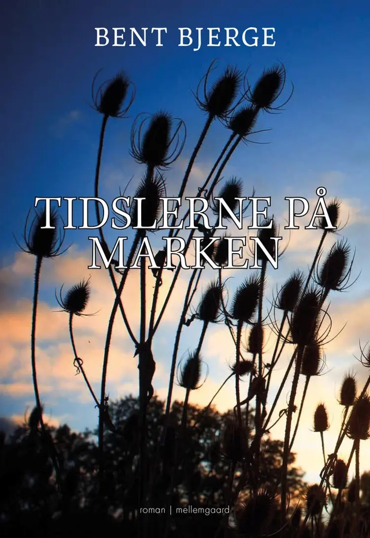 Tidlserne på marken af Bent Bjerge