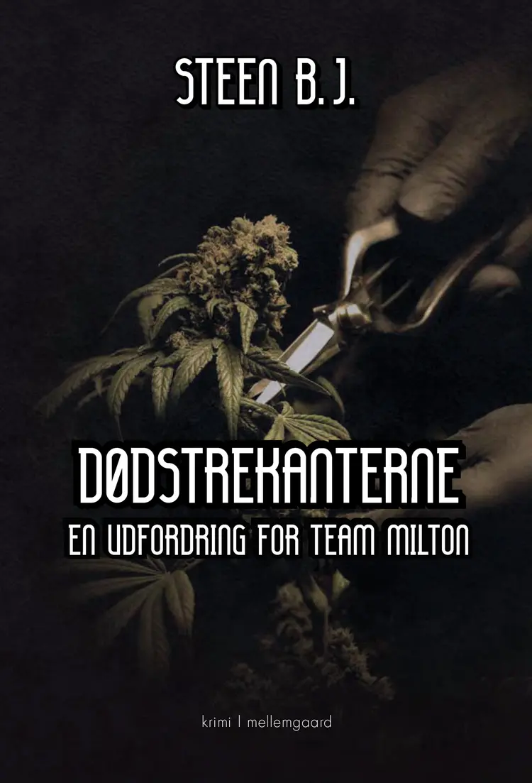 Dødstrekanterne af Steen B. J.