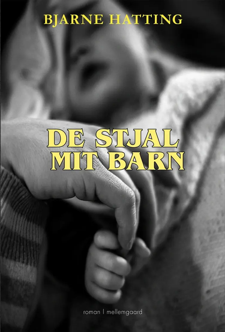 De stjal mit barn af Bjarne Hatting