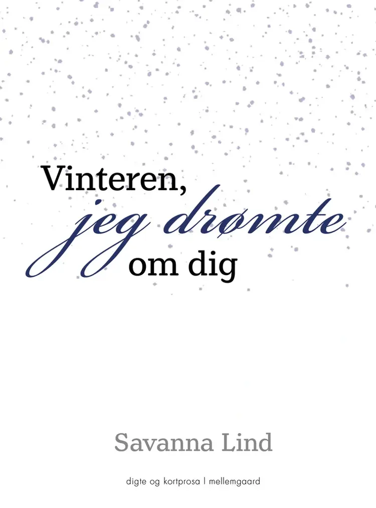 Vinteren jeg drømte om dig af Savanna Lind