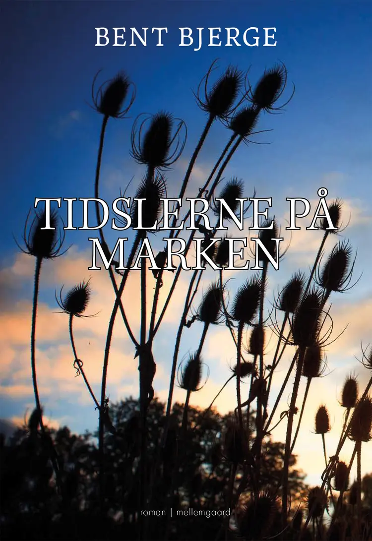 TIDSLERNE PÅ MARKEN af Bent Bjerge