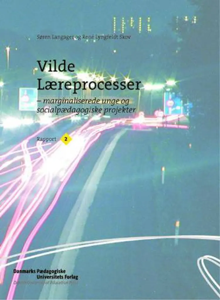 Marginaliserede unge og socialpædagogiske projekter af Søren Langager