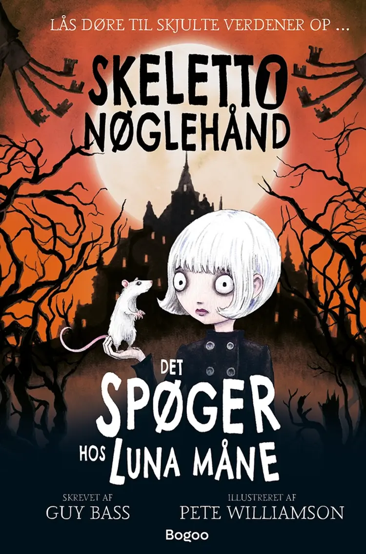 Skeletto Nøglehånd: Det spøger hos Luna Måne af Guy Bass