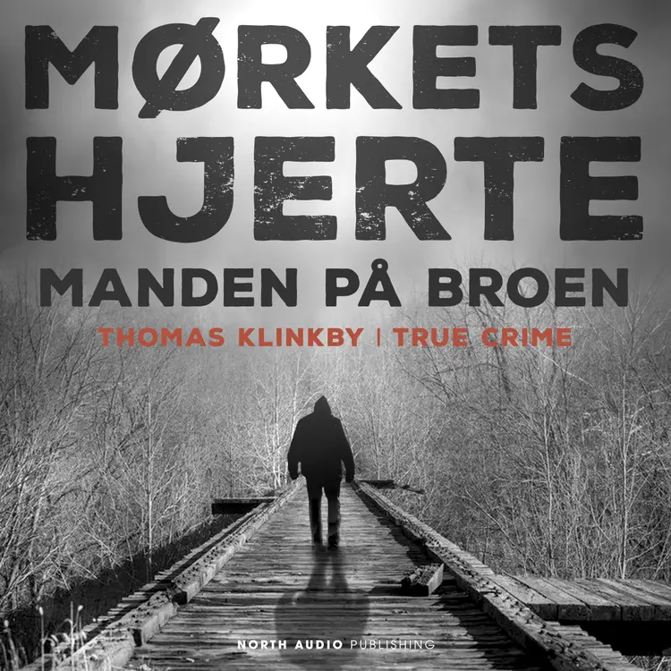 Manden på broen af Thomas Klinkby