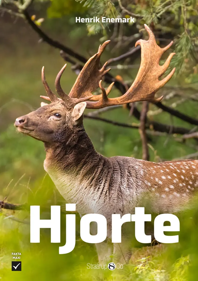 Hjorte af Henrik Enemark