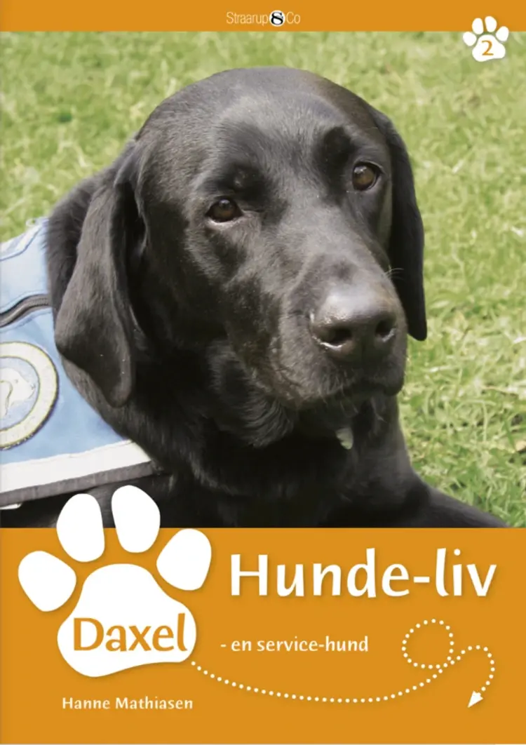 Daxel, en servicehund af Hanne Mathiasen