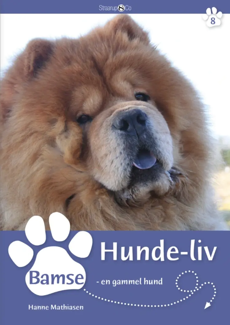Bamse - en gammel hund af Hanne Mathiasen