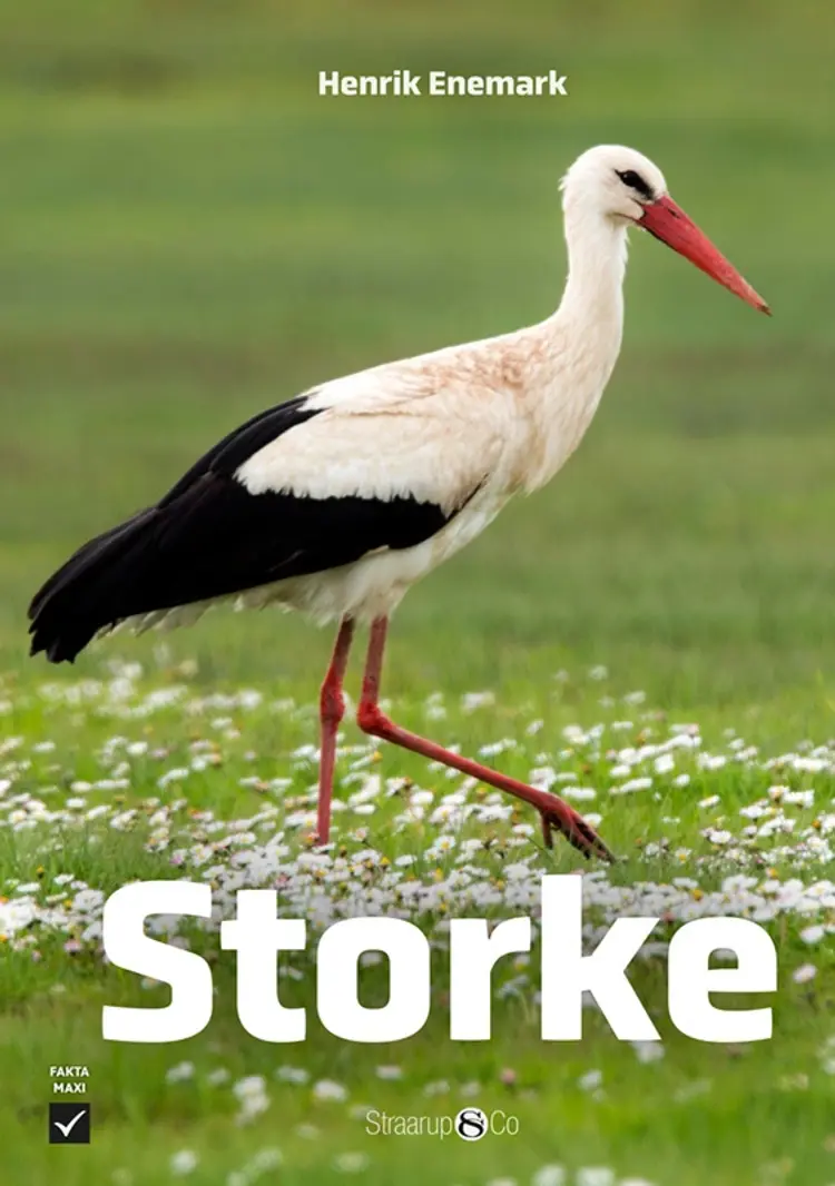 Storke af Henrik Enemark