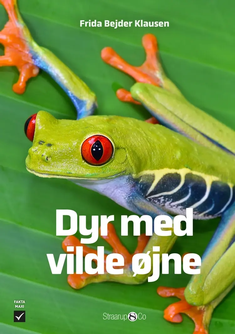 Dyr med vilde øjne af Frida Bejder Klausen