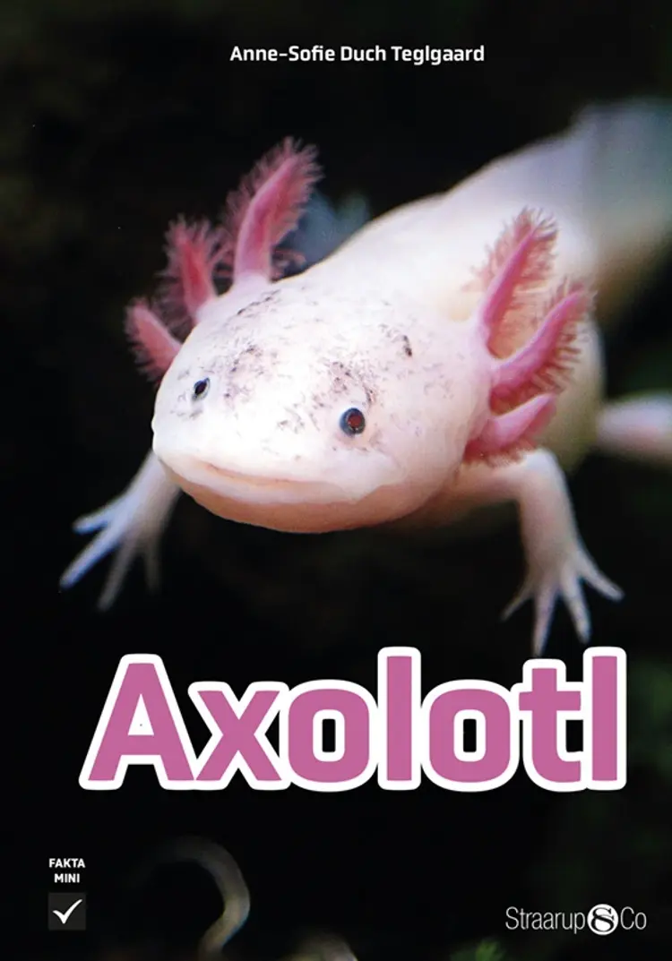 Axolotl af Anne-Sofie Duch Teglgaard