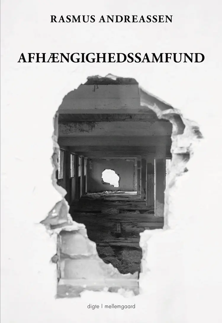 Afhængighedssamfund af Rasmus Andreassen