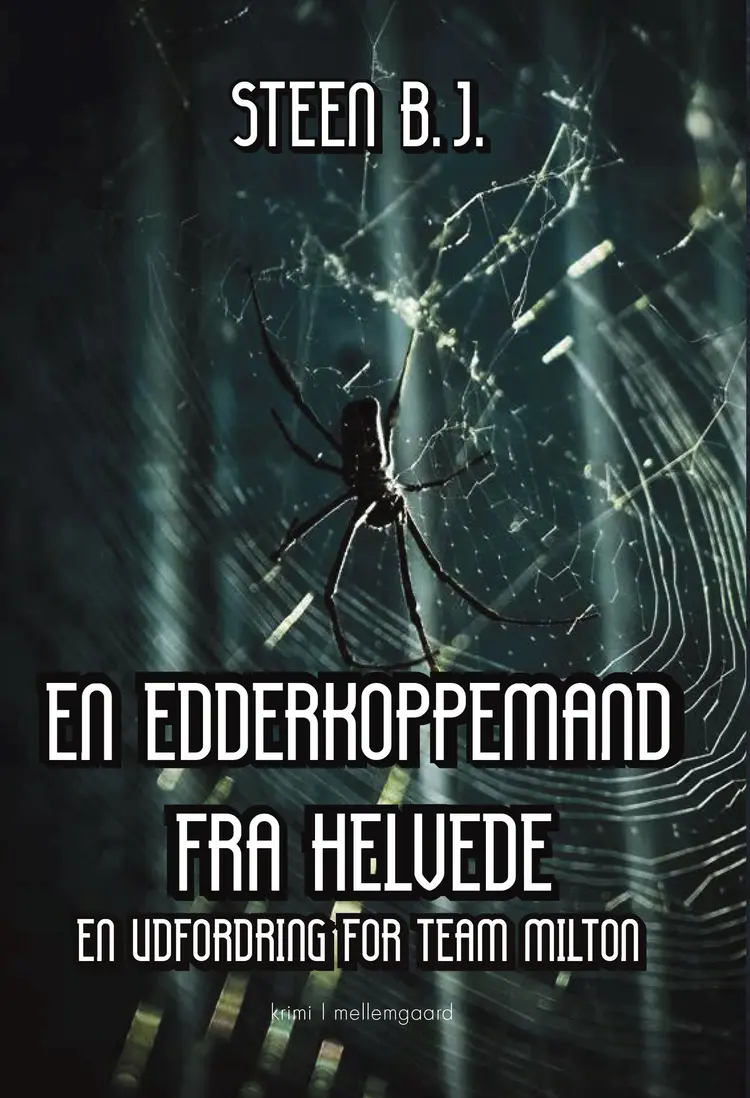 En edderkoppemand fra helvede af Steen B. J.