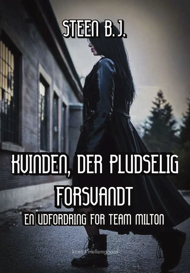 Kvinden, der pludselig forsvandt af Steen B. J.