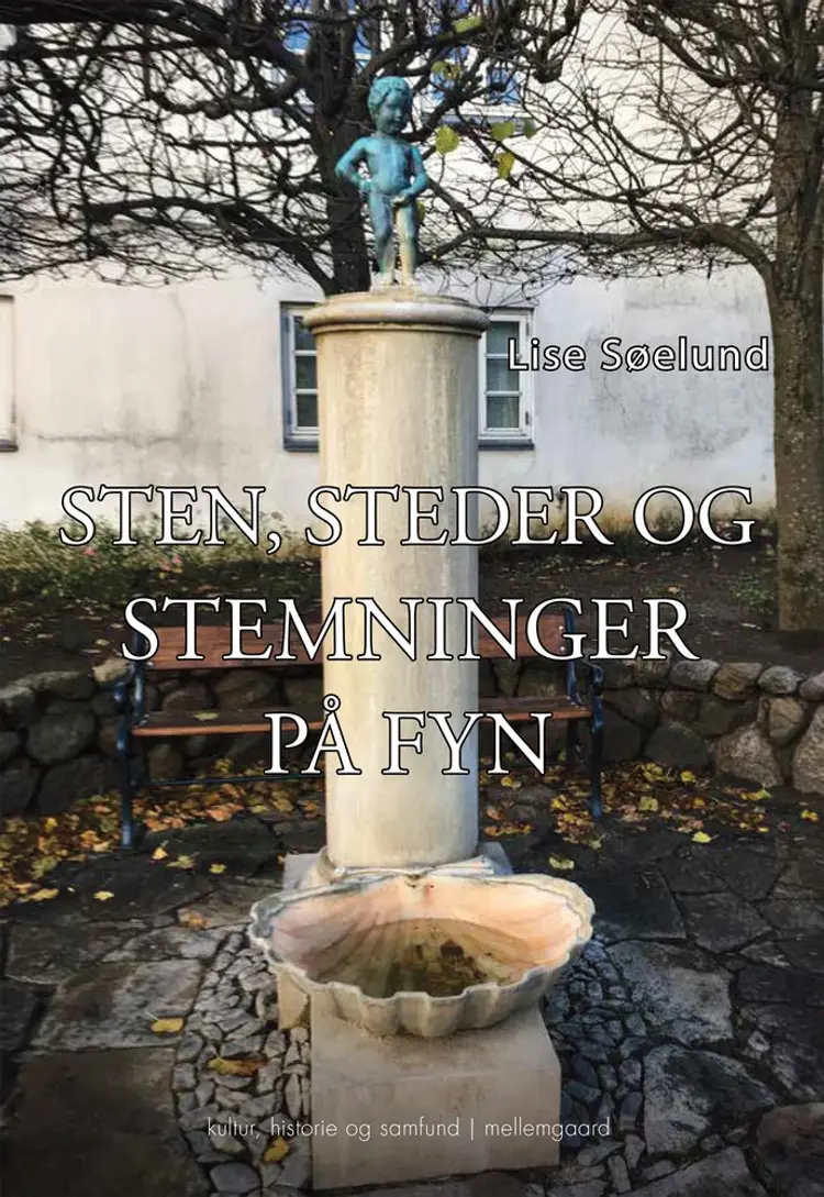 Sten, steder og stemninger på Fyn af Lise Søelund