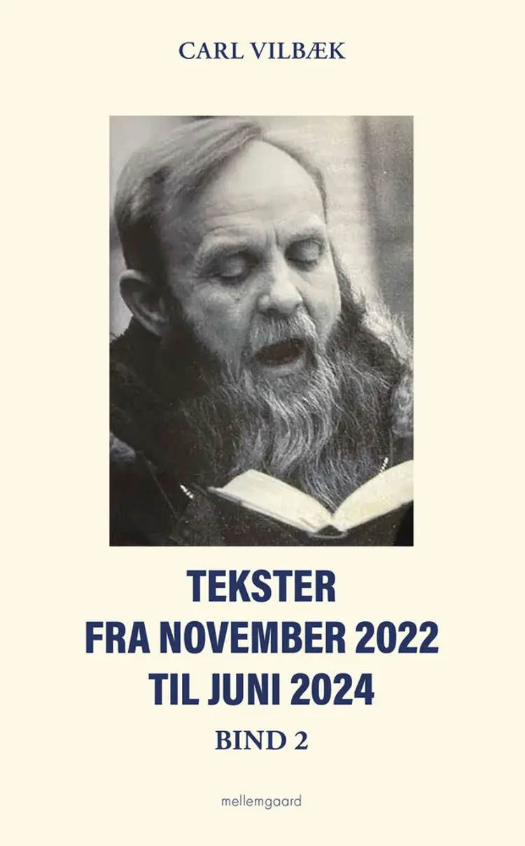 Tekster fra november 2022 til juni 2024 bind 2 af Carl Vilbæk