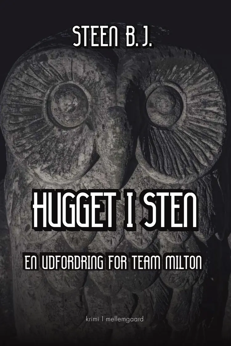 Hugget i sten af Steen B. J.