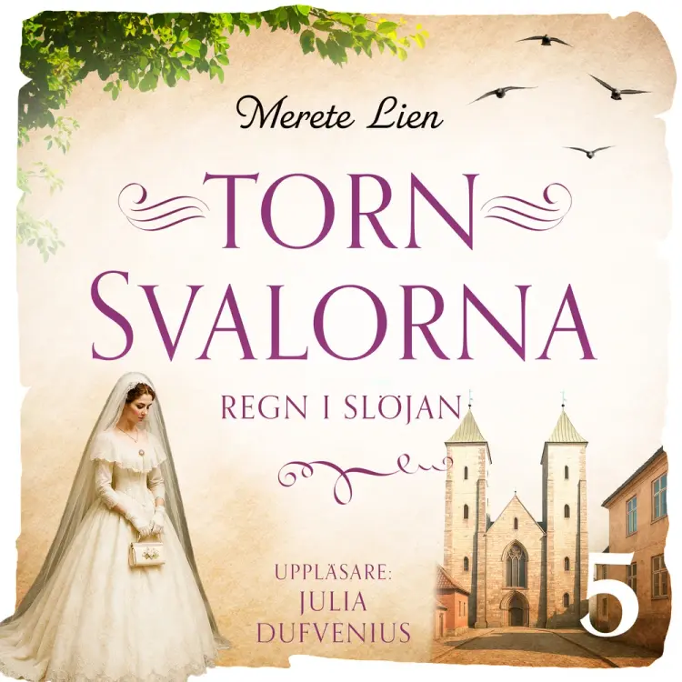 Regn i slöjan af Merete Lien
