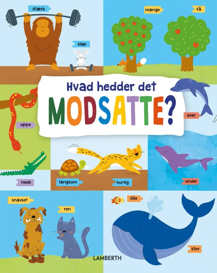 Hvad hedder det modsatte? af Anna Mazepa