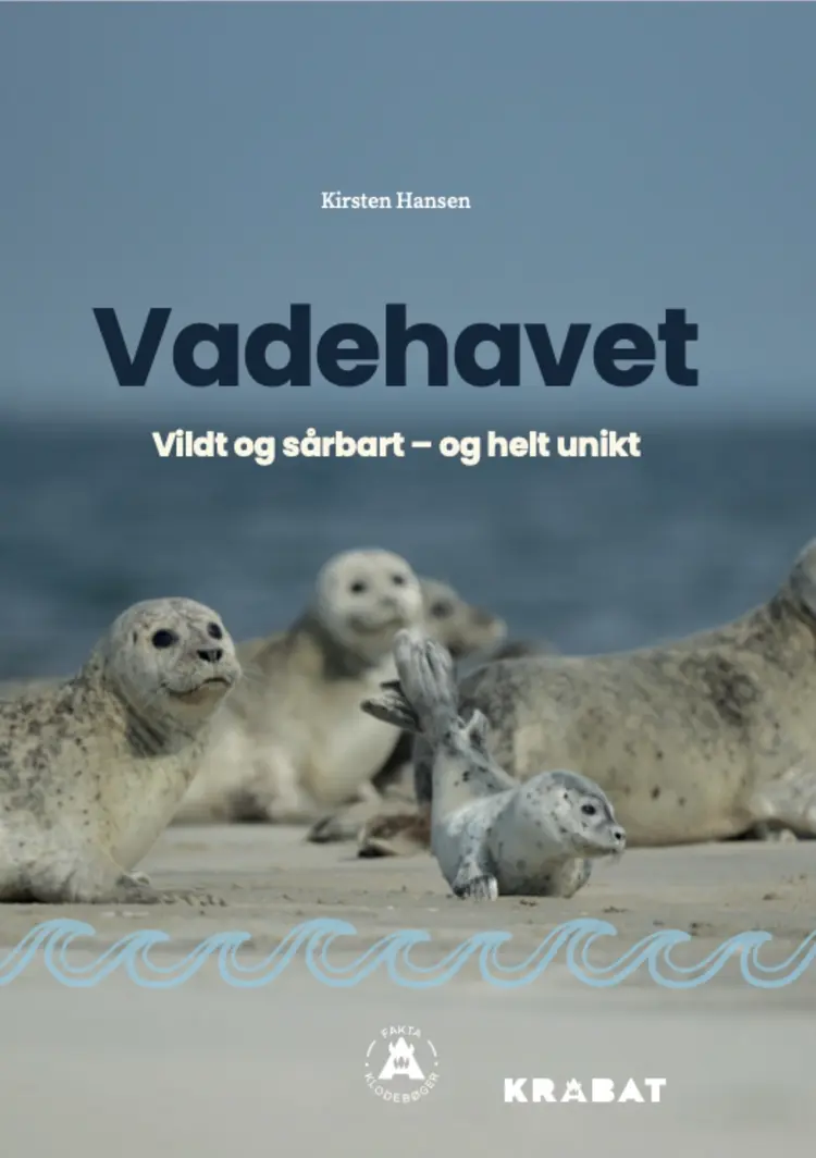 Vadehavet af Kirsten Hansen